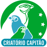 Logo Criatório Capitão